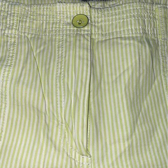Ann Taylor Loft Womens Cotton Striped Mid Rise Shorts Green White Size 16 - Picture 3 of 8